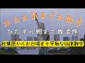 【作業向け配信】秋葉原からお台場へ朝まで歩き続ける散歩【東京散歩】| Walking Tokyo