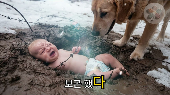 할머니! 국산차나 타세요  백만장자 할머니의 반응… 다음 날 벌어진 일에 모두가 경악했다!