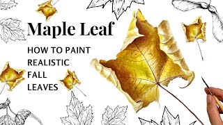 How To Paint Realistic Fall Leaves in Watercolors 🍁 Yellow Maple Leaf 🍁 Autumn Painting