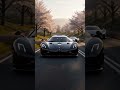 cars and beauty