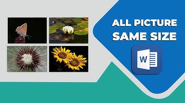 How to make all picture the same size in word