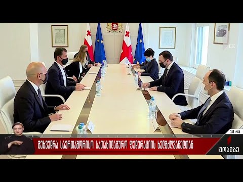 შეხვედრა საერთაშორისო სათხილამურო ფედერაციის ხელმძღვანელთან