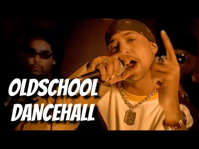 OLD SCHOOL DANCEHALL RAGGA MIX: Sean Paul Shabba Ranks Buju Beenie Man T.O.K | 90s 2000s