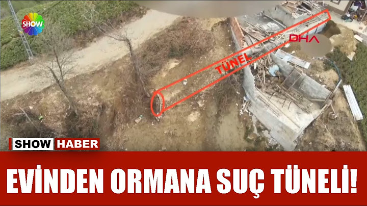 Evinden ormana gizli tünel kazmış!