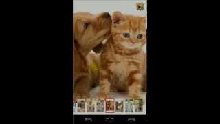 GET your UNIQUE android App like cute puppy wallpaper screenshot 1