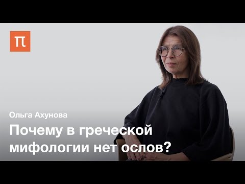 История сюжета романа «Метаморфозы, или Золотой осел» — Ольга Ахунова