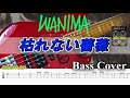 【TAB譜付ベース】WANIMA  枯れない薔薇【弾いてみた・ベースカバー】BassCover