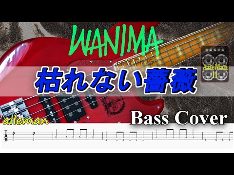 【TAB譜付ベース】WANIMA  枯れない薔薇【弾いてみた・ベースカバー】BassCover