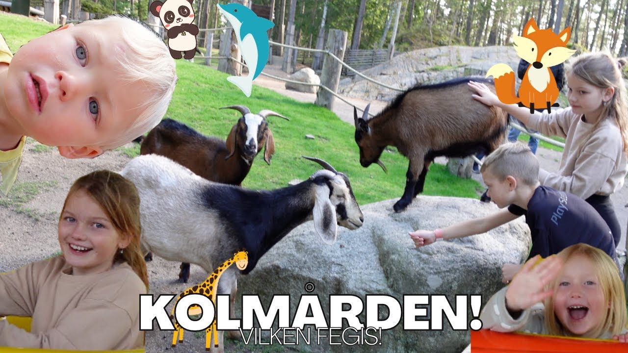 VI ÅKER TILL KOLMÅRDEN! IGEN! | vlogg