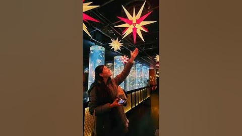 IYRC 2023 Year in Review