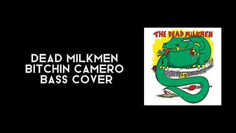 Bitchin Camaro Bass Cover- bass cover #1