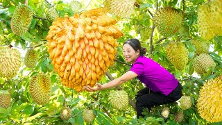 Harvesting Durian Custard Apple (RARE FRUITS) Go to market sell  Vegetarian dish  Steamed Pumpkin