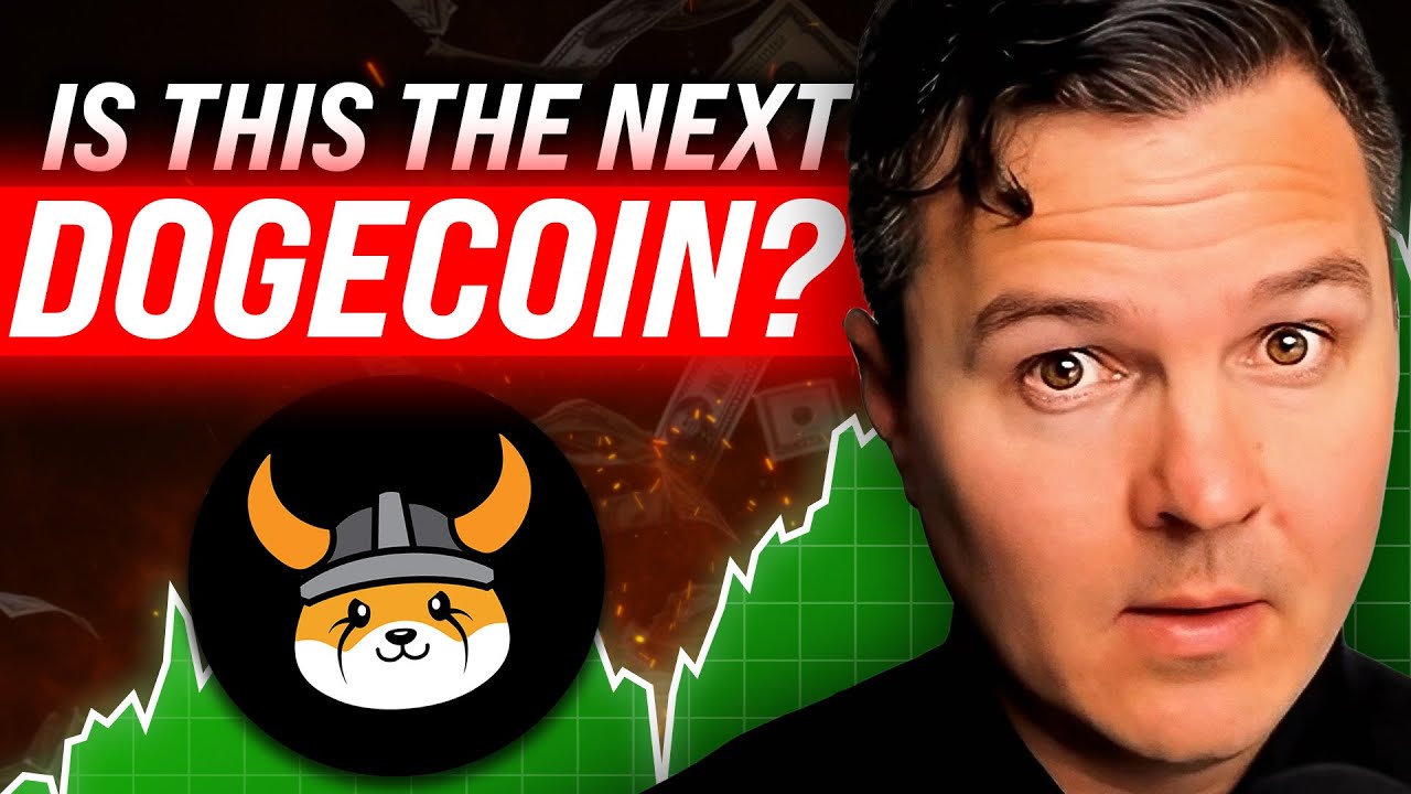 Floki: A Meme Coin’s Journey to Valhalla