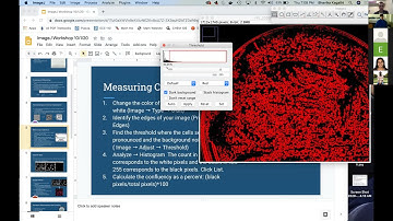 BMES   Using Confluency in ImageJ