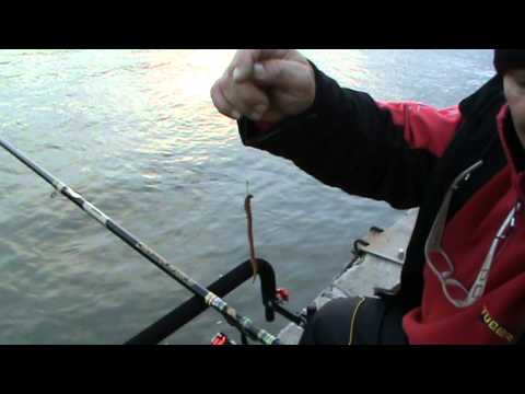 Esche Artificiali Koreane Per Pesca Surfcasting - Mare, Orata, Spigola