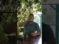 Водка Рюмка Водки от Григория Лепса алкоголь In 100 Gramm Alcohol водка Водка Рюмка Водки от Григория Лепса алкоголь In 100 Gramm Alcohol водка