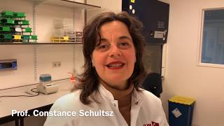 Investigating strategies for antimicrobial resistance surveillance