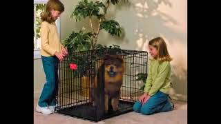 Find top-rated dog crate reviews and proper crate training advice for large dogs and small puppies. Soft & wire, collapsible ...