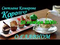 Прямой эфир | Функции Профсоюза| Законопроекты | Светлана Комарова 25 11 2020