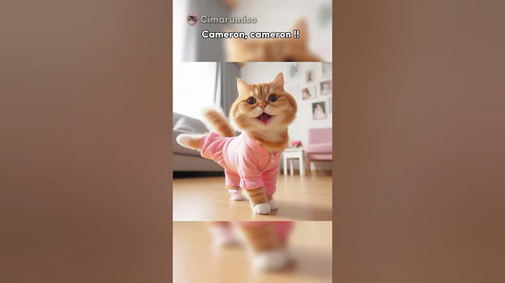 Watch the video about Calico cat acting skills for ice cream #funny #comedy #cat #memes #pets