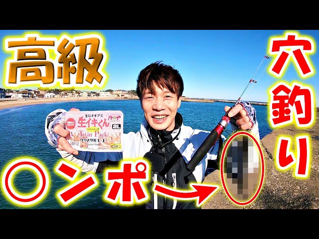 I caught a high-quality cockroach while hole fishing in a deserted