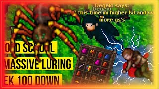 Tibia Retro - Mass LURING & PROFIT: EK 100+ DOWN (7.4 Calmera 2005)