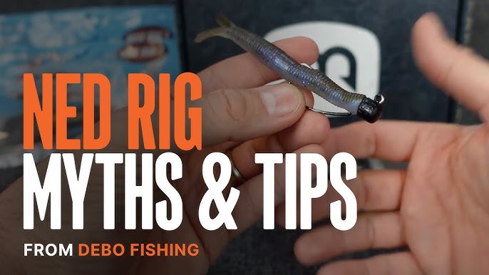 Tungsten Ned Rigs – Motley Fishing