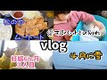 【高齢妊婦vlog】色々な事があった日の記録