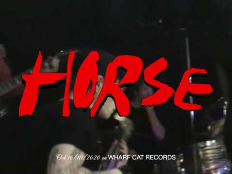 Holy Motors — HORSE