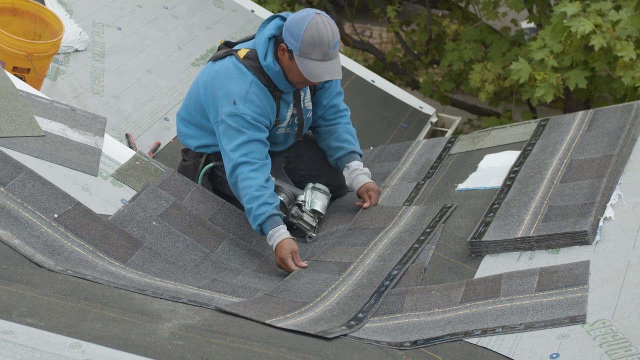 Satisfied Malarkey Customer Denver, Colorado Foothills Satisfied Malarkey Customer Denver, Colorado Foothills