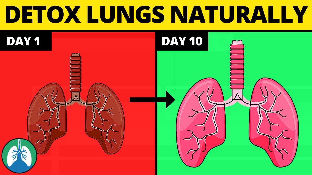 Lungs Cleaner Natural Capsule Smokers Cleanses And Purifies Lungs Blood 