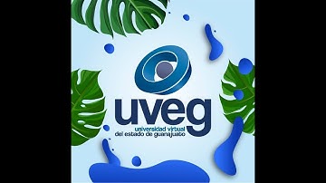 Aplicaciones web UVEG
