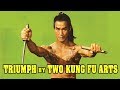 Wu Tang Collection - Triumph by Two Kung Fu Arts