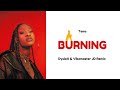 Tems Burning DysleX Vibemaster JD Remix mp3