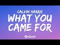 Calvin Harris Rihanna This Is What You Came For Lyrics