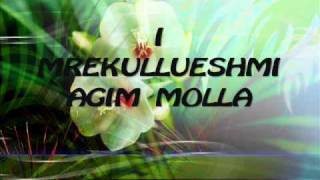 AGIM MOLLA - sylqabegu.wmv chords