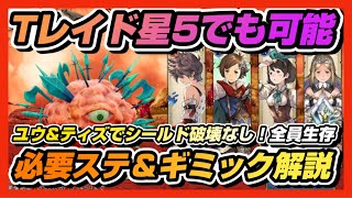 【BDBL】♯ 202●チームレイド星5でも可能！シールド破壊なし！全員生存！必要ステ＆ギミック解説【ブレイブリーデフォルトブリリアントライツ