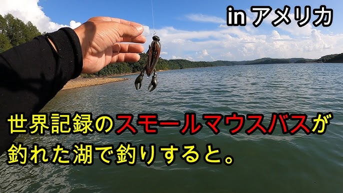 バス釣り スモールマウスバスの世界記録が釣れた湖で釣りをすると フットボールジグ チャンプクロー ラバージグ Youtube バス釣り スモールマウスバスの世界記録が釣れた湖で釣りをすると フットボールジグ チャンプクロー ラバージグ Youtube