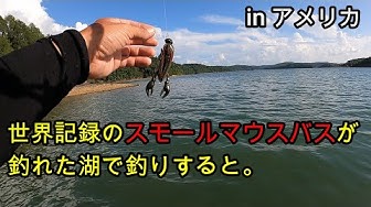 アメリカ釣り Youtube アメリカ釣り Youtube