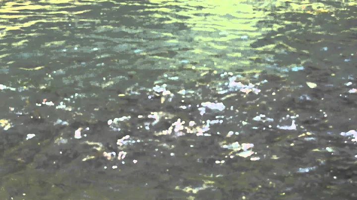 Trout Farm