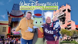 Perfect Disney World Days! Star Wars, Characters & Animal Kingdom Fun
