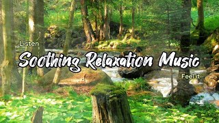 Relaxation Piano music sound of a river flowing in a beautiful forest. Birdsong. Relax with nature