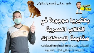 البكتريا المقاومة للمضادات الحيوية | فيديو مهم جدااااااااااا