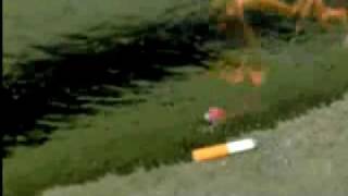 Watch Lok Andra Faller video