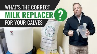 What’s The Correct Milk Replacer For Your Calves? The Calf Company, UK