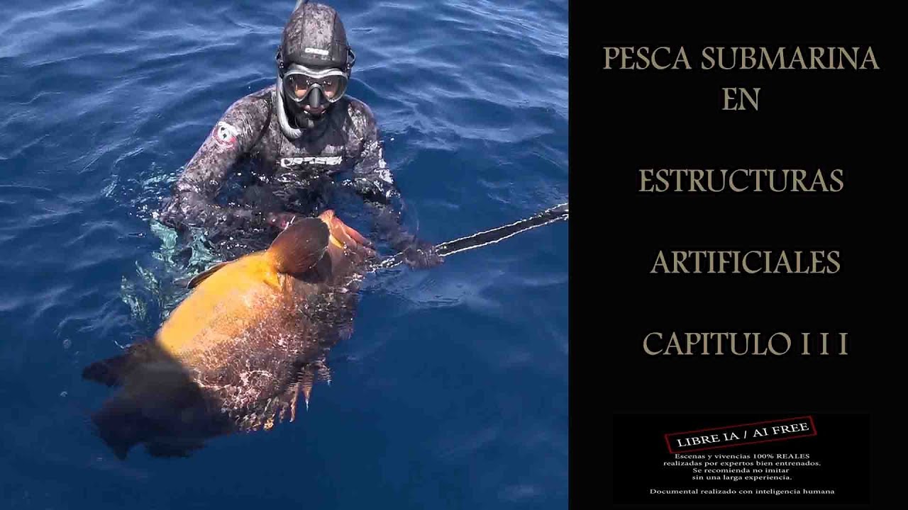 Pesca submarina en estructuras artificiales CAPITULO 3