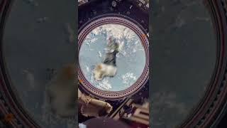 That Was Scary - Alphabet Lore