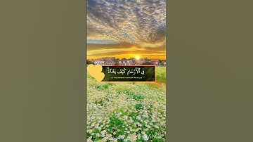 #آيات #ارح_قلبك #تلاوات #راحة_نفسية #راحة_نفسية #دعاء #دعاء_مستجاب #آيات_القرآن_الكريم