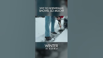 Je ziet vaak #Noren meerdere keren per dag sneeuw scheppen als het sneeuwt