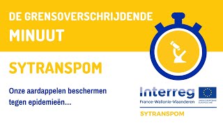 Download Lagu De Grensoverschrijdende Minuut - SYTRANSPOM MP3